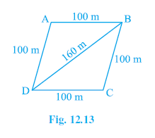 Page 205 Chapter 12 Class 9th Non-Rationalised NCERT 2019-20